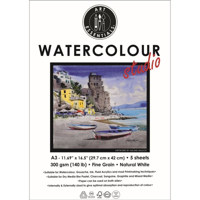 Art Essentials Watercolor Studio Natural White Fine Grain/Cold Press/Medium Surface 300 GSM Paper, Polypack (Pack of 5, Polypack - A3 )