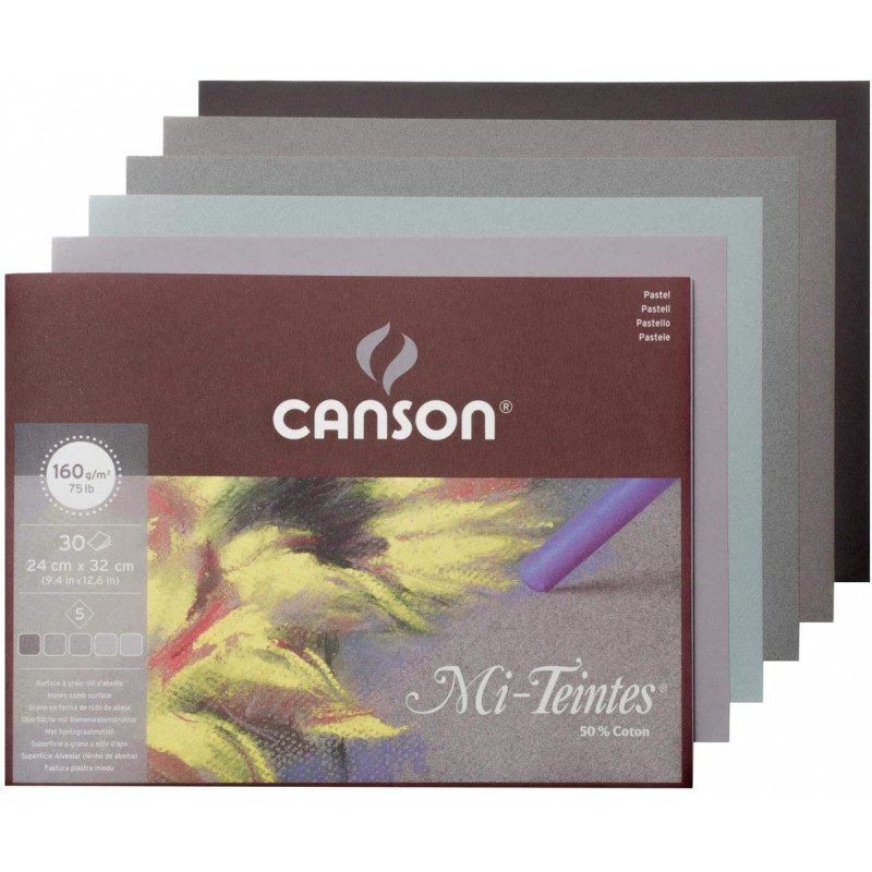 Canson Mi-Teintes 160gsm Pastel Paper pad, Size: 32x41cm, Includes 30 Sheets of Assorted Grey Tones A3